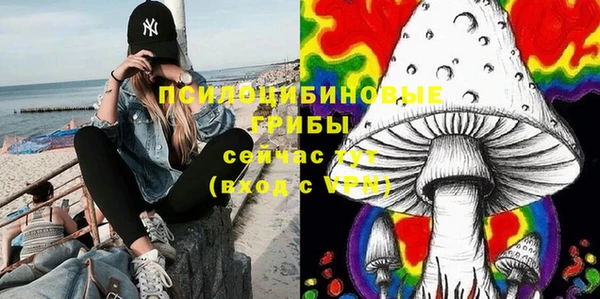 крисы Алексеевка