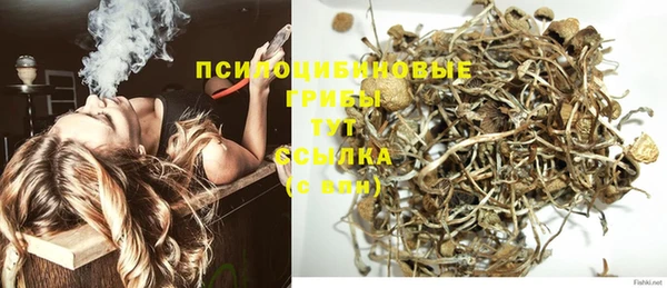 стафф Абаза