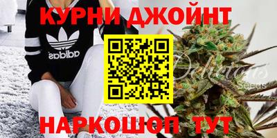 стаф Жуковский