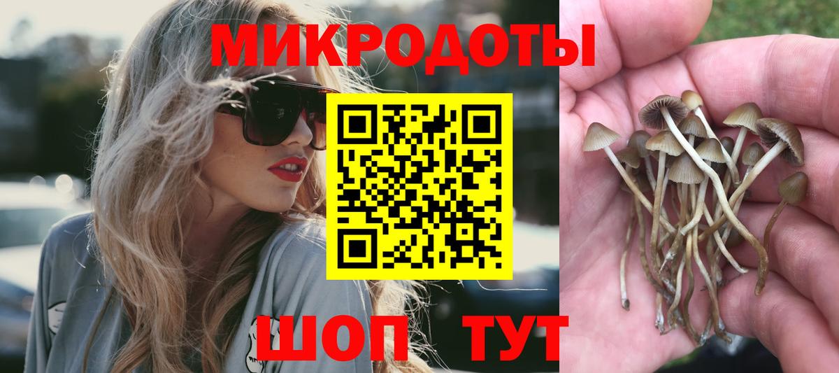 Галлюциногенные грибы Psilocybine cubensis Волоколамск