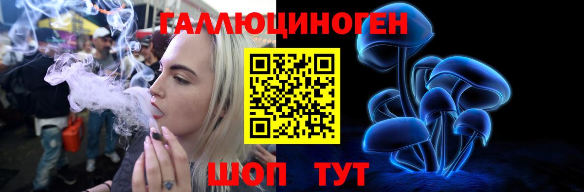 Волоколамск  Галлюциногенные грибы MAGIC MUSHROOMS  Вход с VPN  Галлюциногенные грибы прущие грибы 